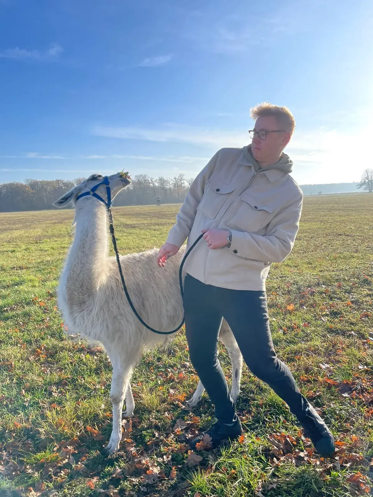 Erik Weise holding a llama's lead rope in an autumn field